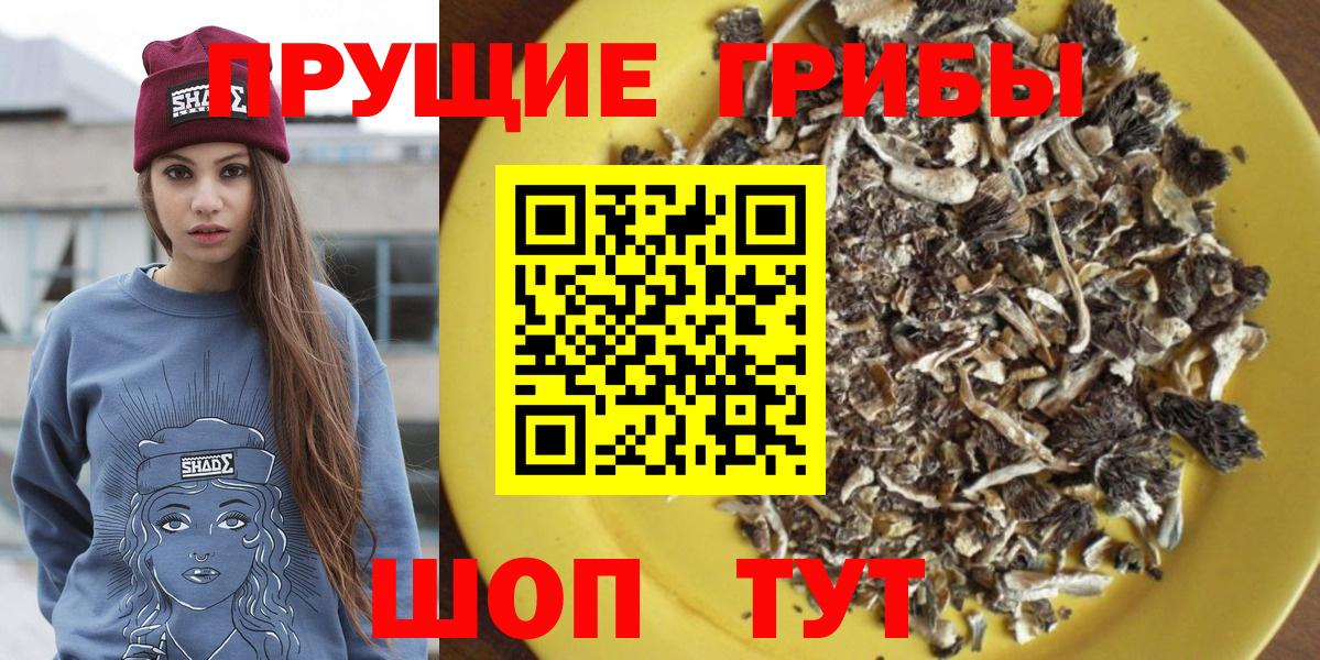 Псилоцибиновые грибы Cubensis  Вход с VPN  Хасавюрт 