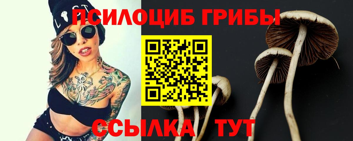 Галлюциногенные грибы мухоморы Хасавюрт